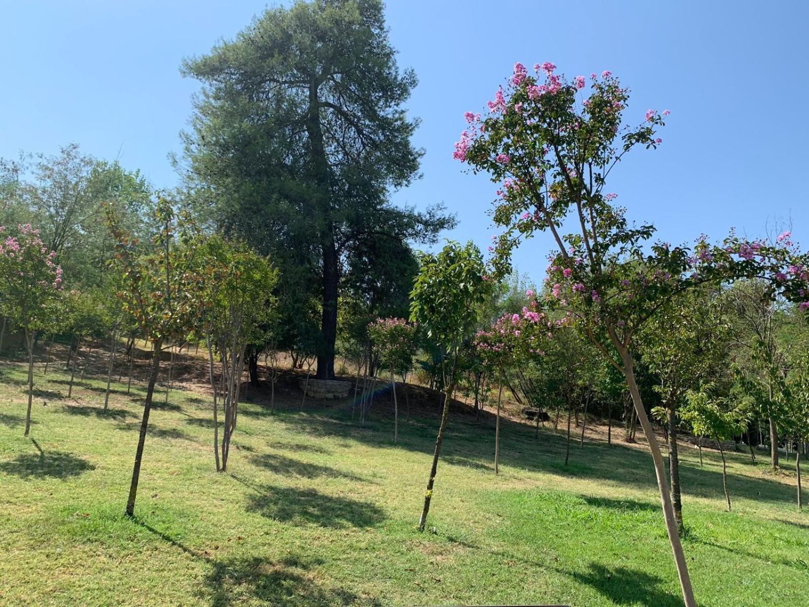Apartamento Perla